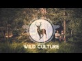 Tom Misch & Carmody  - So Close (Wild Culture Remix)