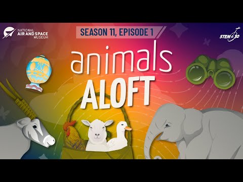 STEM in 30: Animals and the Aerospace Industry