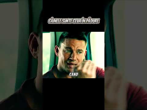 Un câine extrem de periculos  #romania #film