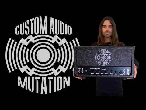 Custom Audio Mutation CAM850M Guitar Amp Demo