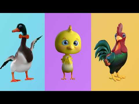 La Gallina Catalina - Canciones Infantiles del Rancho de Mi abuelo