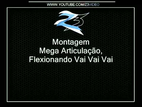 MONTAGEM - FLEXIONANDO VAI. ♫ 2011