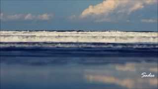 Whitesnake - Woman Trouble Blues