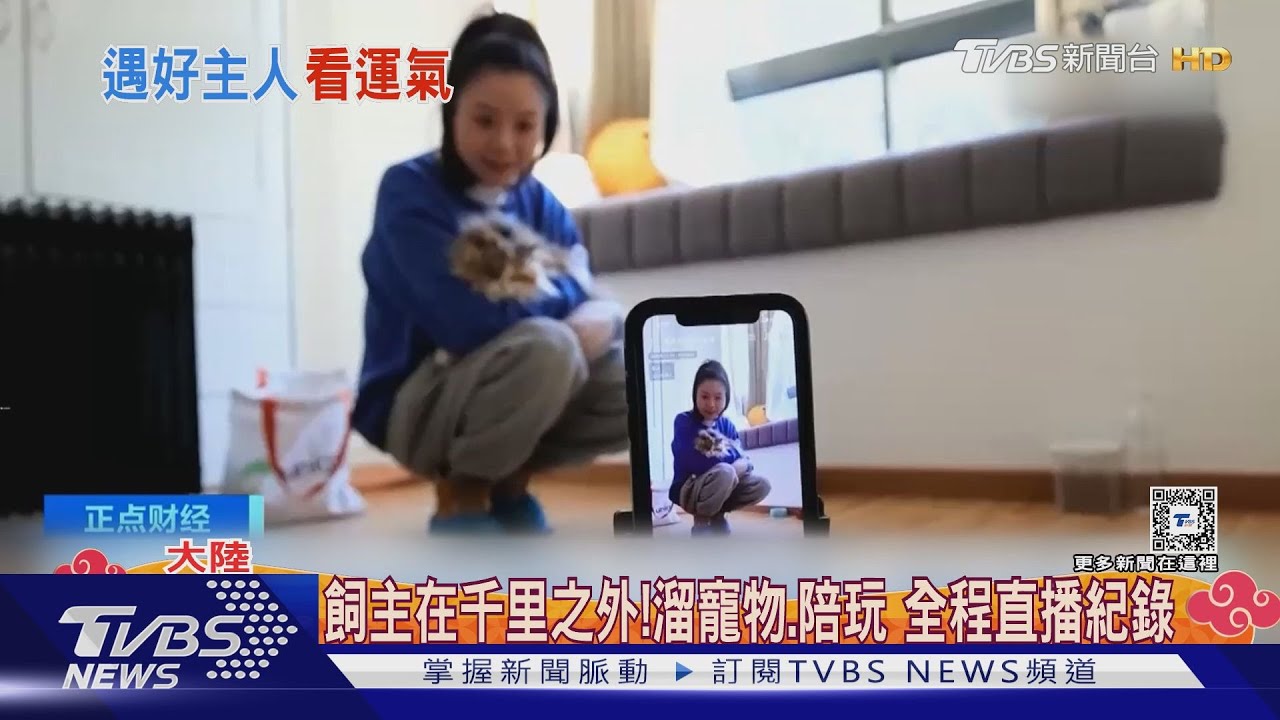 「到府撸貓」商機大! 春節上門陪玩、洗澡 寵物托育師搶手