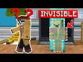 J'ai utilisé une Cape d'Invisibilité pendant un Cache-Cache sur Minecraft