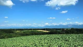 preview picture of video '北海道 美瑛の丘とノロッコ号／Time lapse Hokkaido Biei Hills'