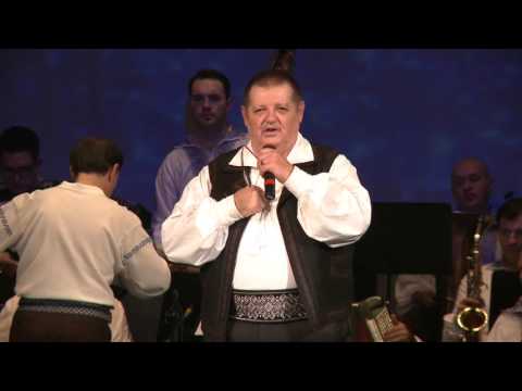 Petrică Moise și Orchestra Ansamblul Timișul - Numa' aici acas mi-i bine LIVE