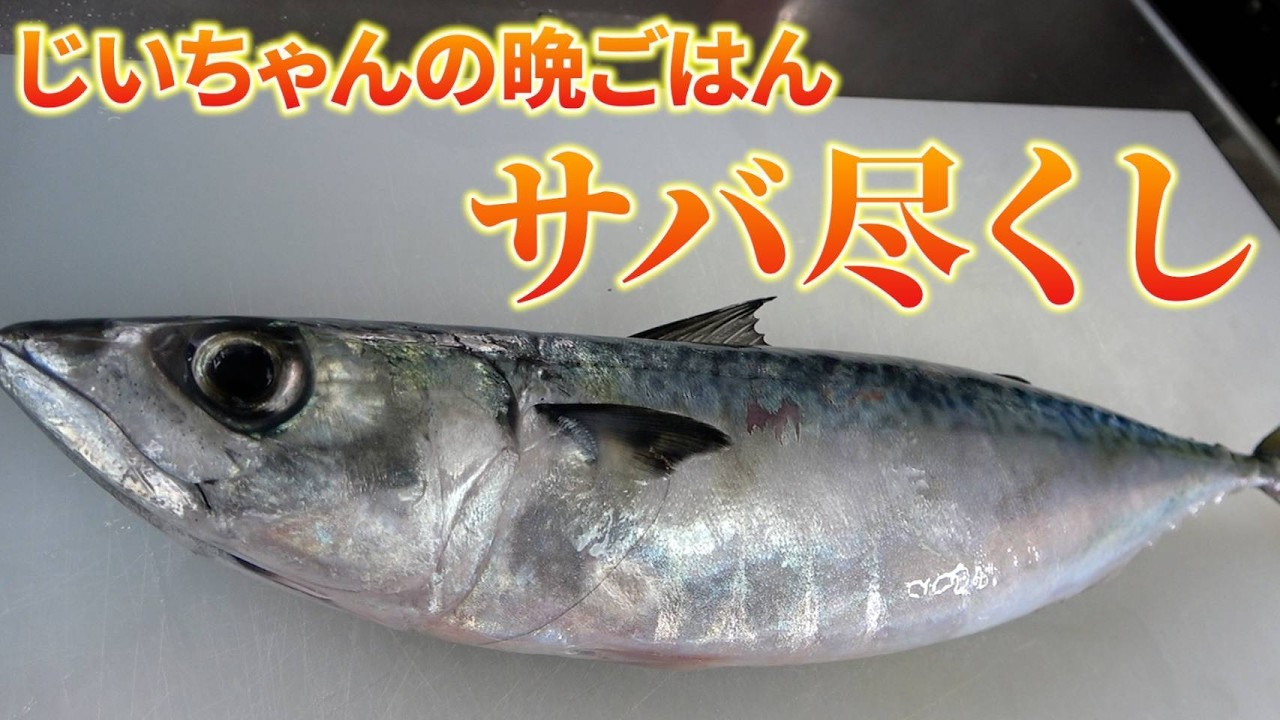 【じいちゃんの晩御飯】脂たっぷりマサバを煮付けと刺身に！じいちゃんの反応は！？