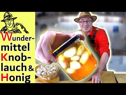 Knoblauch in Honig, Knoblauch-Zitronen-Kur und Knoblauch einlegen im Curry-Sud