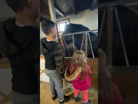 Dorel la cai la gopa