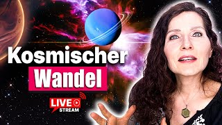 🔴 Die nächsten 7 Jahre sind entscheidend!