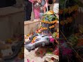 Sawan Somvar Status Video ️ Shubh Somwar Status Video Mahadev Sawan Shorts Girl