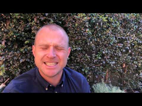 Auction Market is Cranking