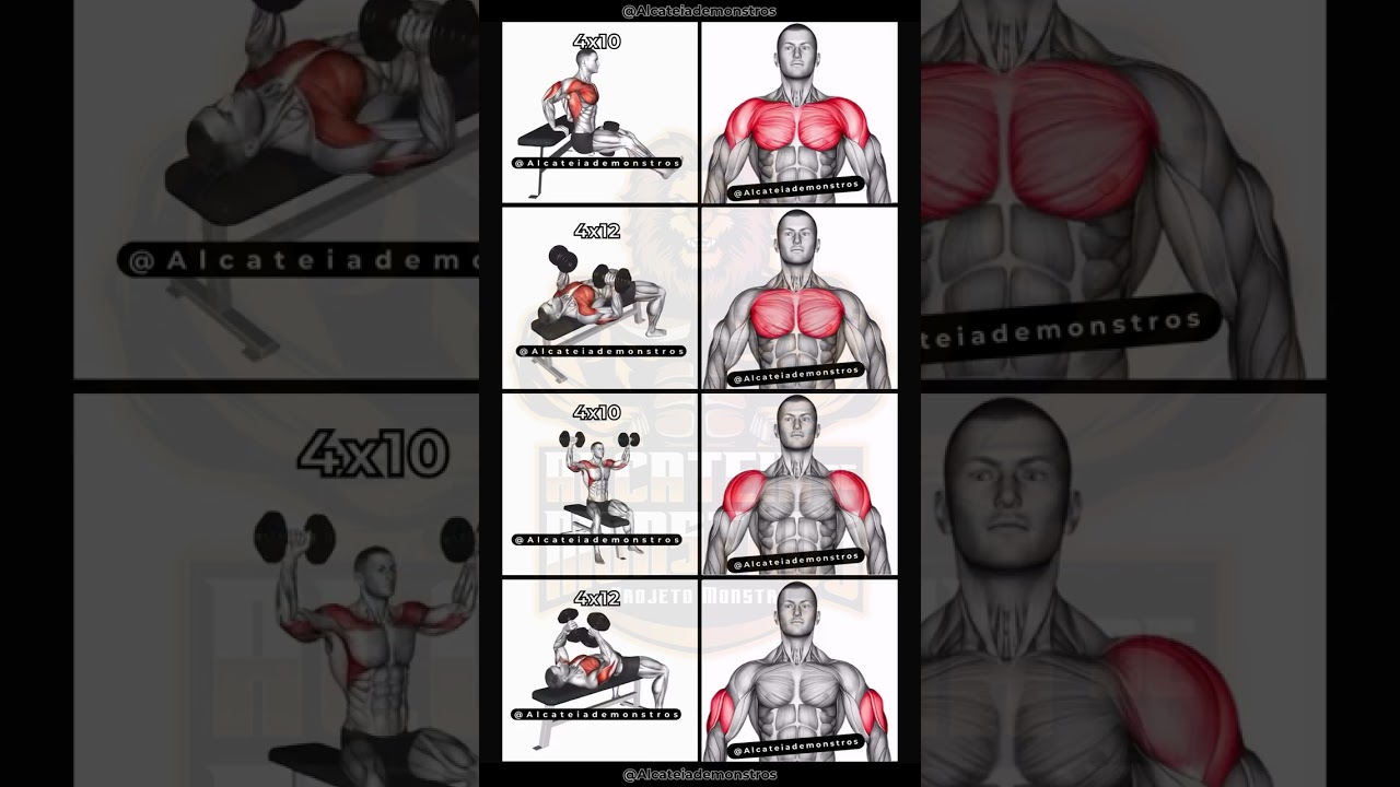 Treino Completo de Peito, Ombro e Tríceps para Hipertrofia ✅