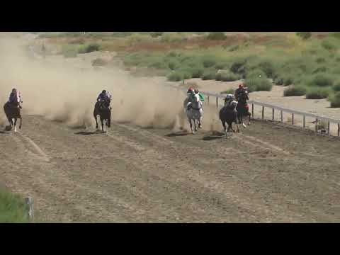 TAMBERA  Club Hípico Añelo - Añelo - Neuquén - 12-03-2023