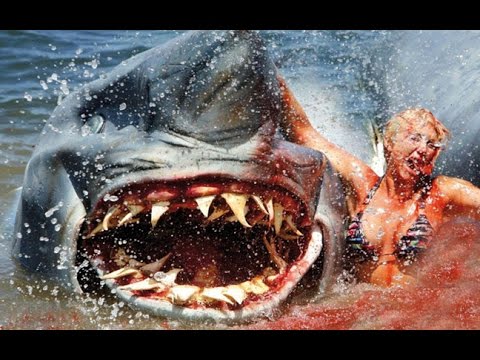 Top 10 Shark Movies