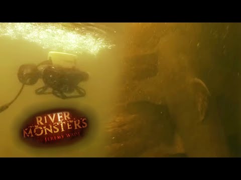 First Time In History That A Goonch Catfish Was Caught On Camera | CATFISH | River Monsters