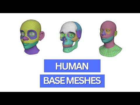 How to use Blenders new human base meshes for 3d character design