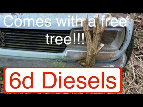 Rescuing an abandoned one owner diesel pickup truck sat for 22 years!! (the worst one yet...??)