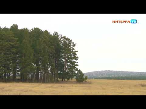 Погода будет неустойчивой