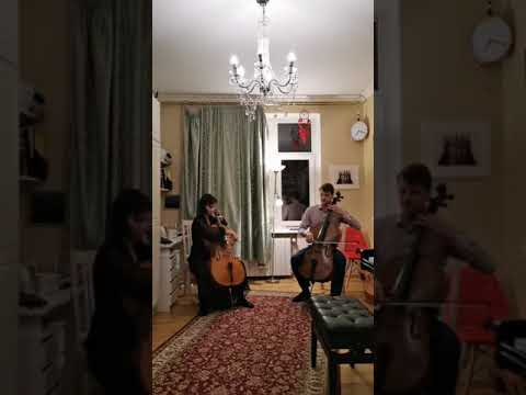 Home concert - Silvia Ilves & sons