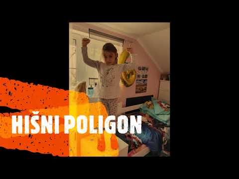 Hanin hišni poligon