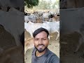 Zindagi Intehan Lati Hai RkR