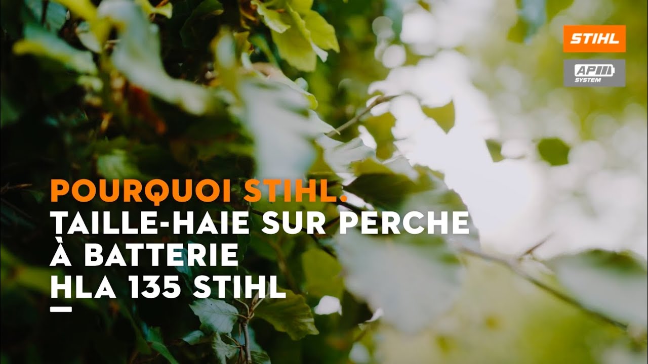 Taille-Haie sur perche à batterie 249 cm