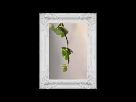 Vista previa del video de la casa en Monterrey