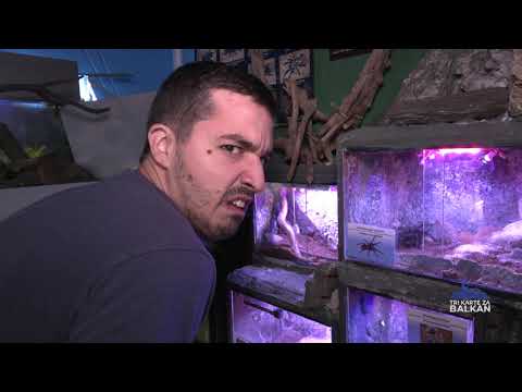 EMISIJA   TRI KARTE ZA BALKAN   EP38 AKVARIUM I TROPIKARIUM