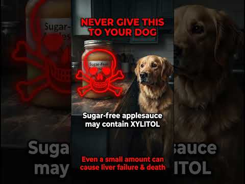 Can Dogs Eat Apples? 🍎 Vet-Approved Safety Guide #shorts