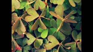 Dikta - In Love With Myself