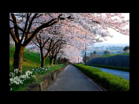 The Flyers and Mike Sonar - Cherry avenue