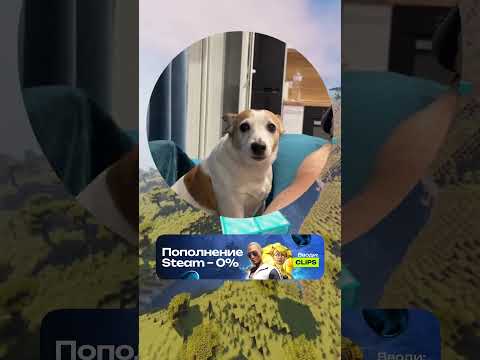 Бара спокойная 🐕 #мем #кружки #мемы #meme