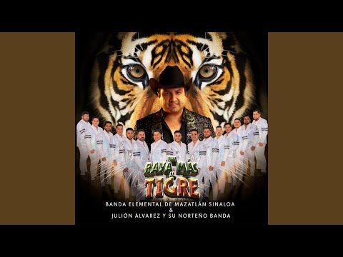 Una Raya Más al Tigre