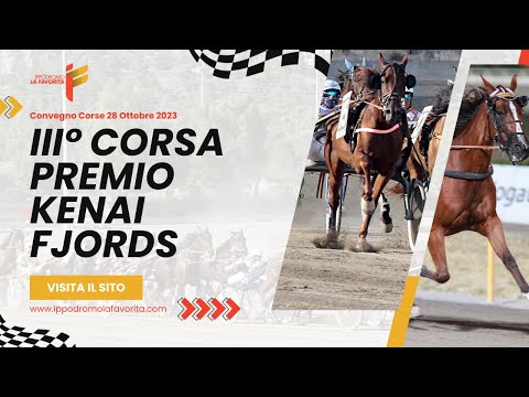 III Corsa del 28 Ottobre 2023 - 4 Anni - Metri 2000