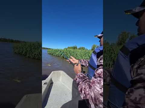 monte vera, santa fe!!