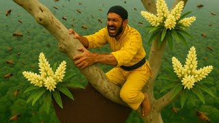 The Most Beautiful Cinnamon Tree – 200 Meters Tall and Absolutely Majestic