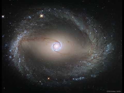 Spiral Galaxy NGC 1512: The Inner Rings #shorts