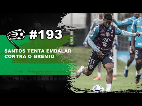 Santos pode ter novos reforços | Copa do Brasil | Partida contra o Grêmio