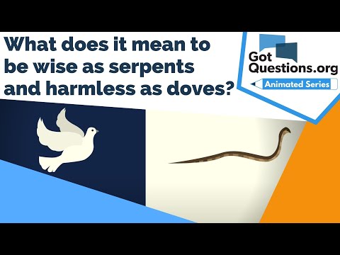 What does it mean to be wise as serpents and harmless as doves (Matthew 10:16)?