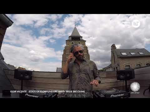 Igor Vicente | State of Flow by Wide | Belgium