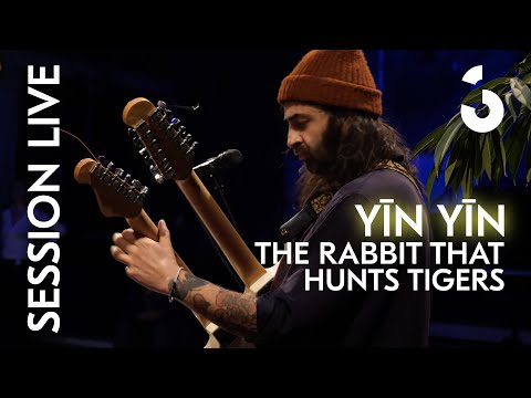Yīn Yīn - The Rabbit That Hunts Tigers - SESSION LIVE