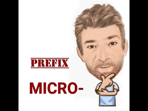 English Tutor Nick P Prefix  (36) Micro -