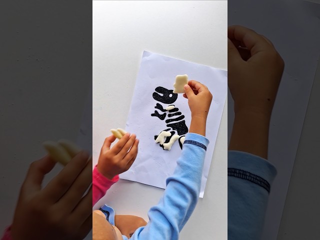 Vídeo relacionado con GZqiancang 23 Piezas Esqueleto Fósil de Dinosaurio, Fósil de Dinosaurio de Simulación para Juegos Científicos, Decoraciones y Fiestas de Cumpleaños de Dinosaurios (2 Estilos)