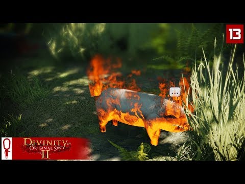 FLAMING PIGS - Divinity Original Sin 2 Gameplay Part 13 - [Coop Multiplayer]