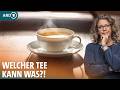 Tee Welche Tees Sind Besonders Gesund I ARD Gesund