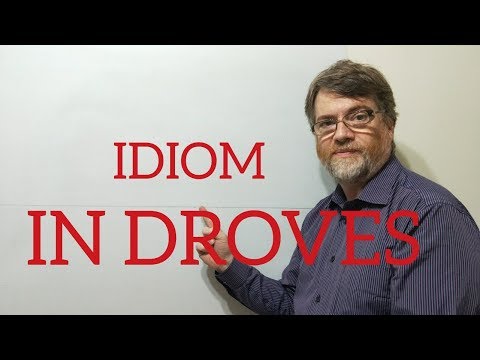 English Tutor Nick P Idioms (269) In Droves
