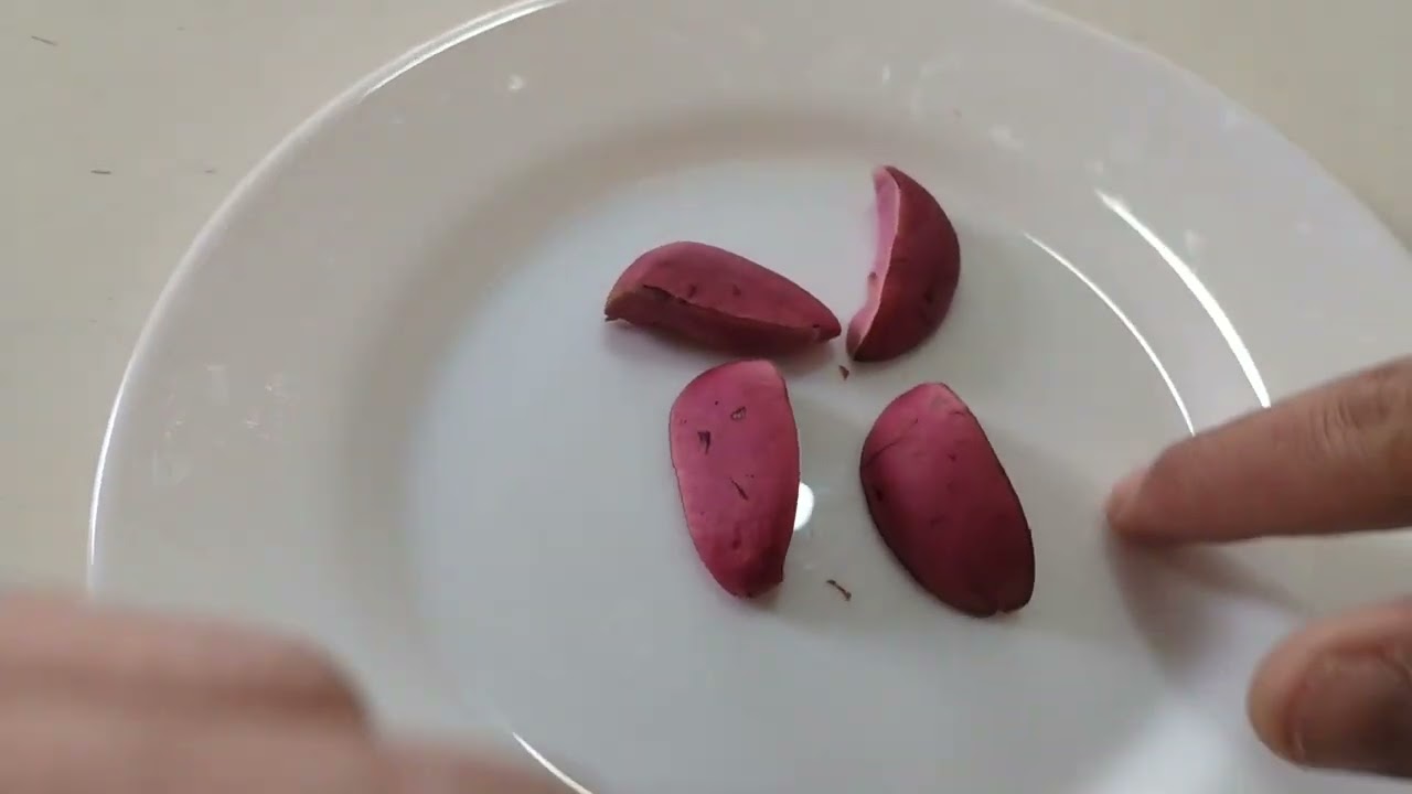 JOGO DE OBI-  BÁSICO