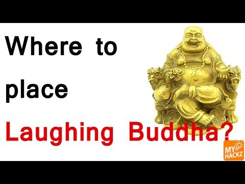 download lagu mp3 mp4 Cheerful Tortoise Happy Hour, download lagu Cheerful Tortoise Happy Hour gratis, unduh video klip Cheerful Tortoise Happy Hour